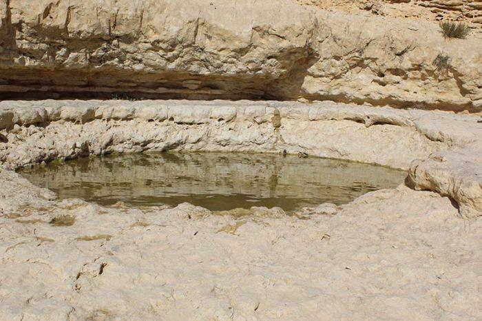 Water in the Negev - Krivine Guesthouse
